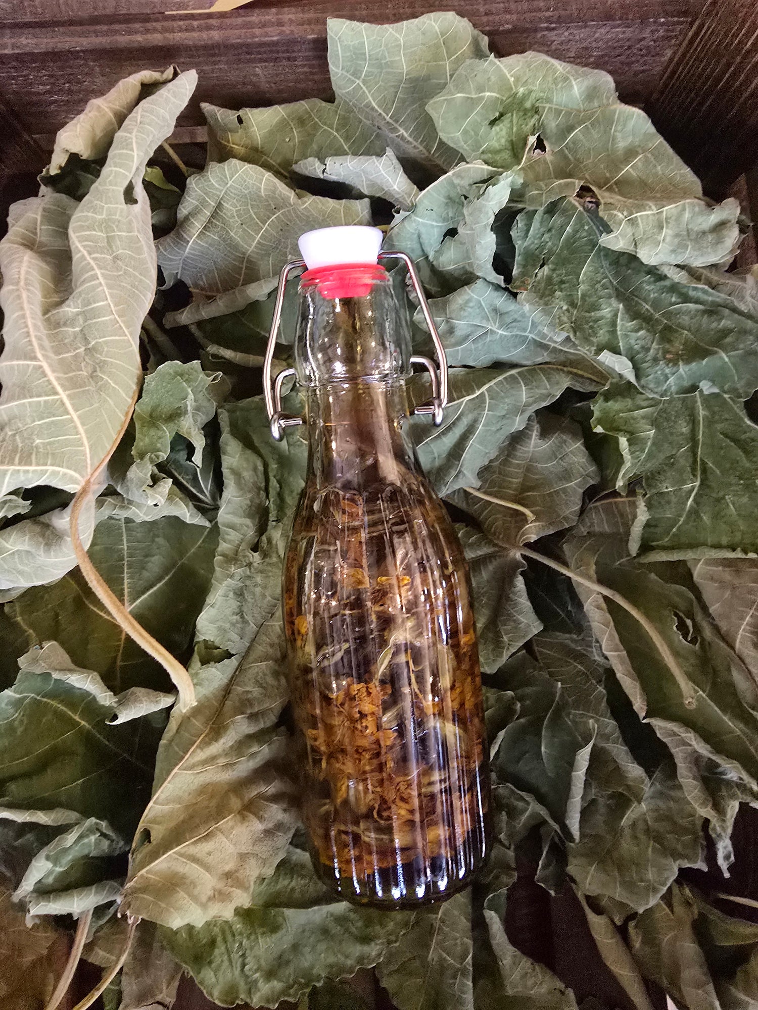 Извлеци и тинктури