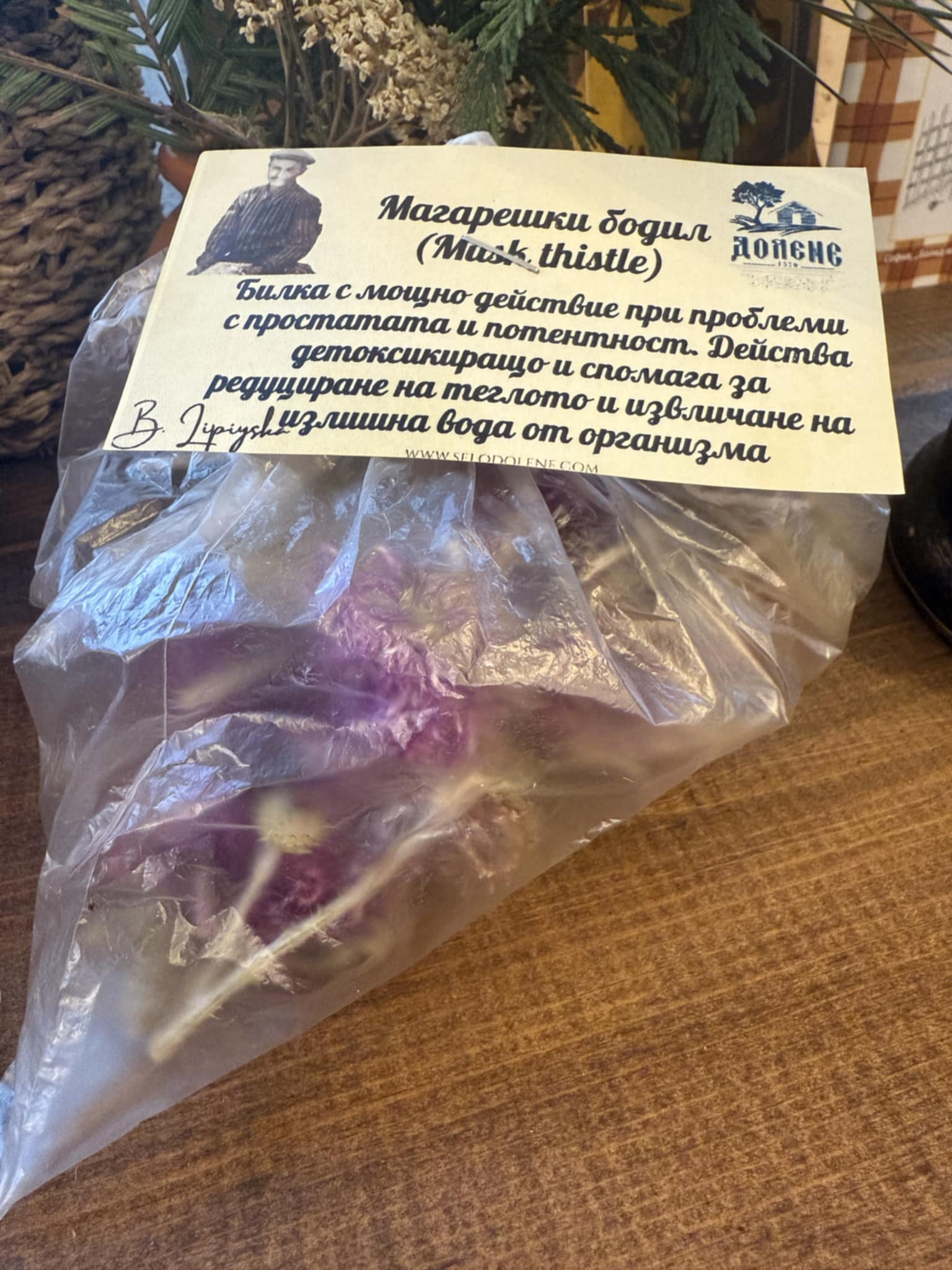 Магарешки Бодил - Билка за Черен Дроб и Детоксикация