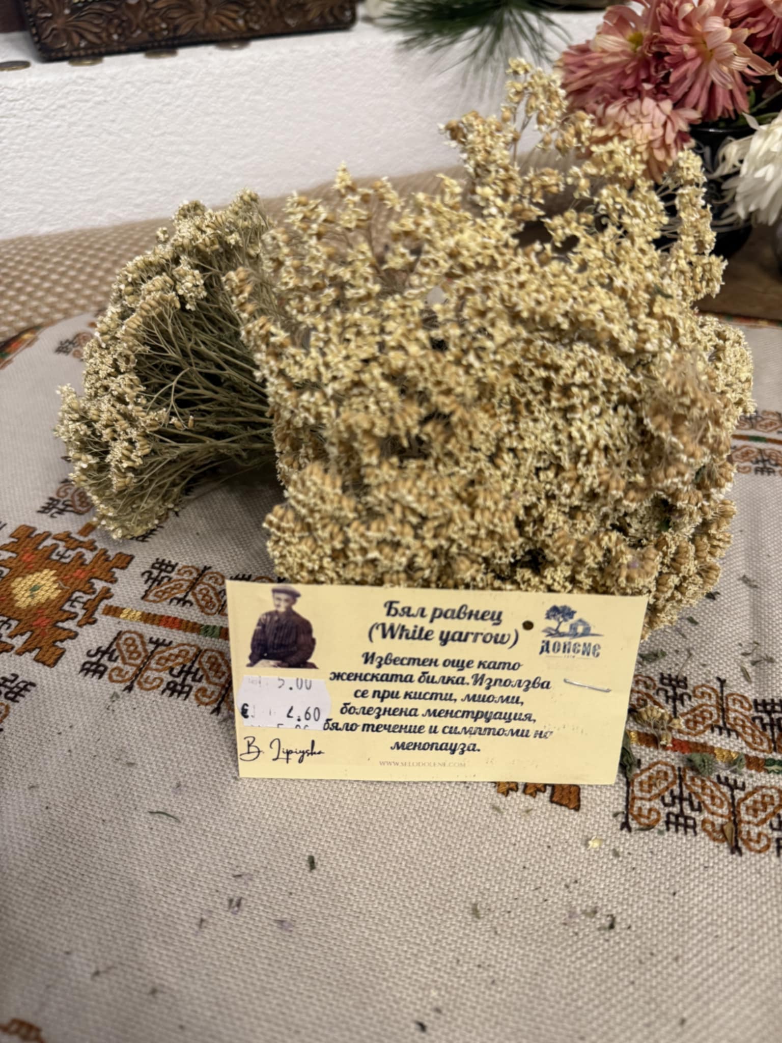 Камшик Билка - Билка за Пикочни Пътища и Детоксикация