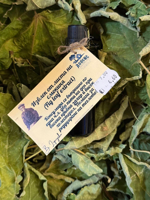 Извлек от Листа на Смокиня - Натурален Екстракт за Здраве и Баланс